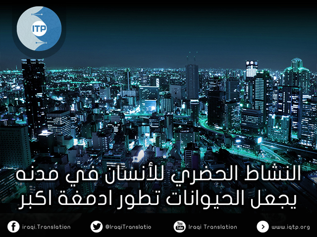 النشاط الحضري للأنسان في مدنه يجعل الحيوانات تطور ادمغة اكبر النشاط الحضري للأنسان في مدنه يجعل الحيوانات تطور ادمغة اكبر
