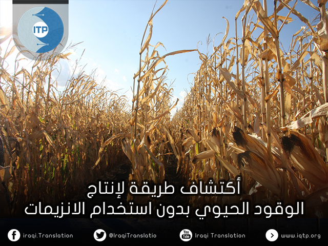 فريق عراقي ينتج وقودًا حيويًّا صديقًا للبيئة! فريق عراقي ينتج وقودًا حيويًّا صديقًا للبيئة!