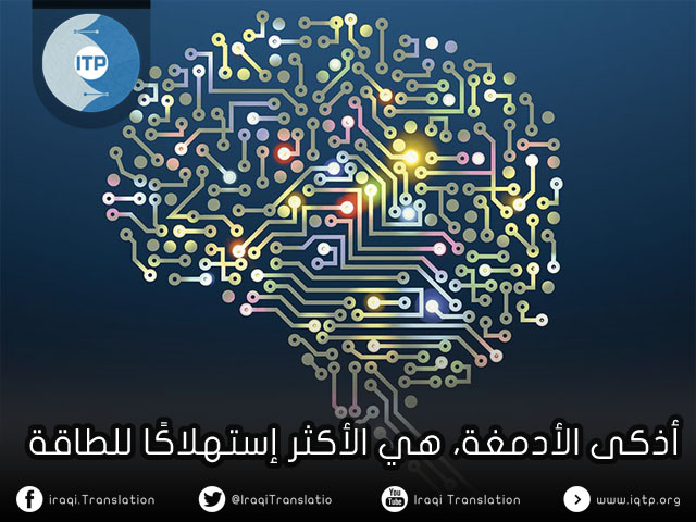 أذكى الأدمغة، هي الأكثر إستهلاكًا للطاقة أذكى الأدمغة، هي الأكثر إستهلاكًا للطاقة