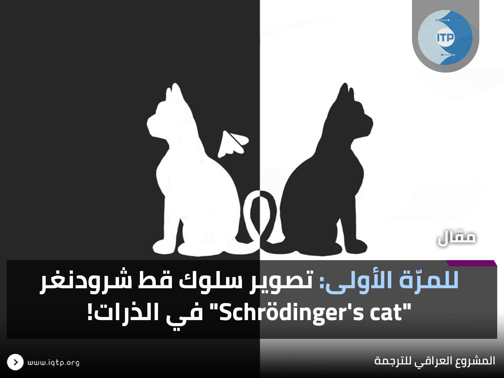 للمرّة الأولى؛ تصوير سلوك قط شرودنغر “Schrödinger’s cat” في الذرات! للمرّة الأولى؛ تصوير سلوك قط شرودنغر “Schrödinger’s cat” في الذرات!