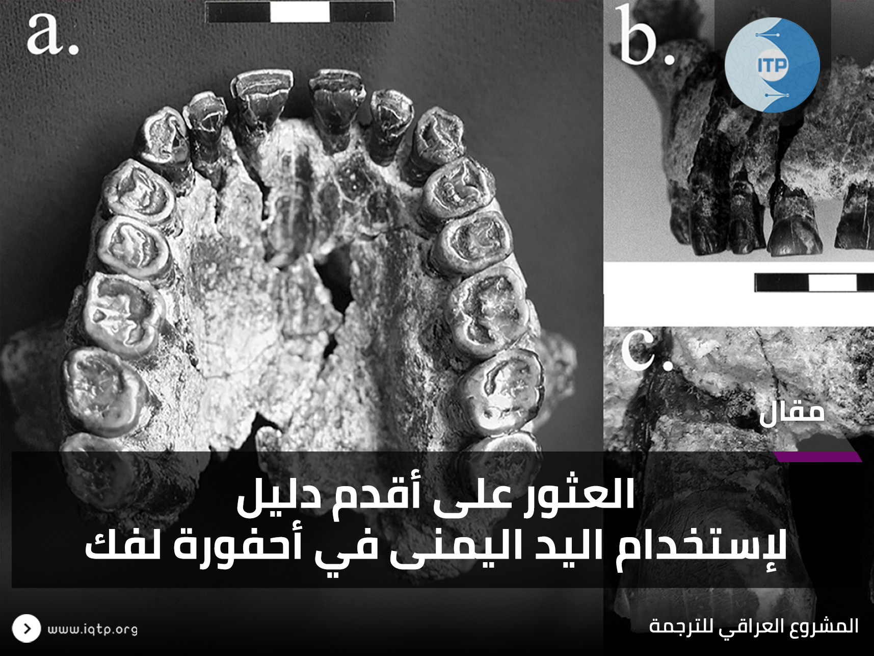 العثور على أقدم دليل لاستخدام اليد اليمنى في أحفورة العثور على أقدم دليل لاستخدام اليد اليمنى في أحفورة
