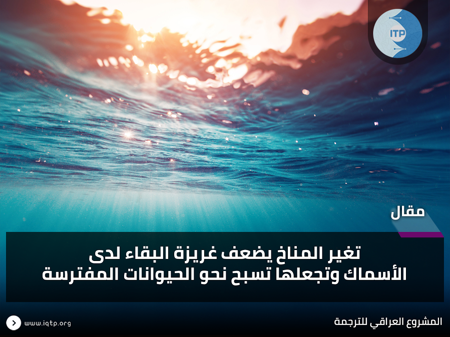 تغير المناخ يضعف غريزة البقاء لدى الأسماك وتجعلها تسبح نحو الحيوانات المفترسة تغير المناخ يضعف غريزة البقاء لدى الأسماك وتجعلها تسبح نحو الحيوانات المفترسة