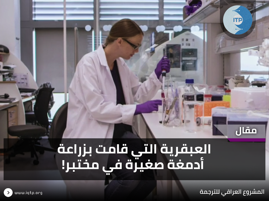 العبقرية التي قامت بزراعة أدمغة صغيرة في مختبر! العبقرية التي قامت بزراعة أدمغة صغيرة في مختبر!