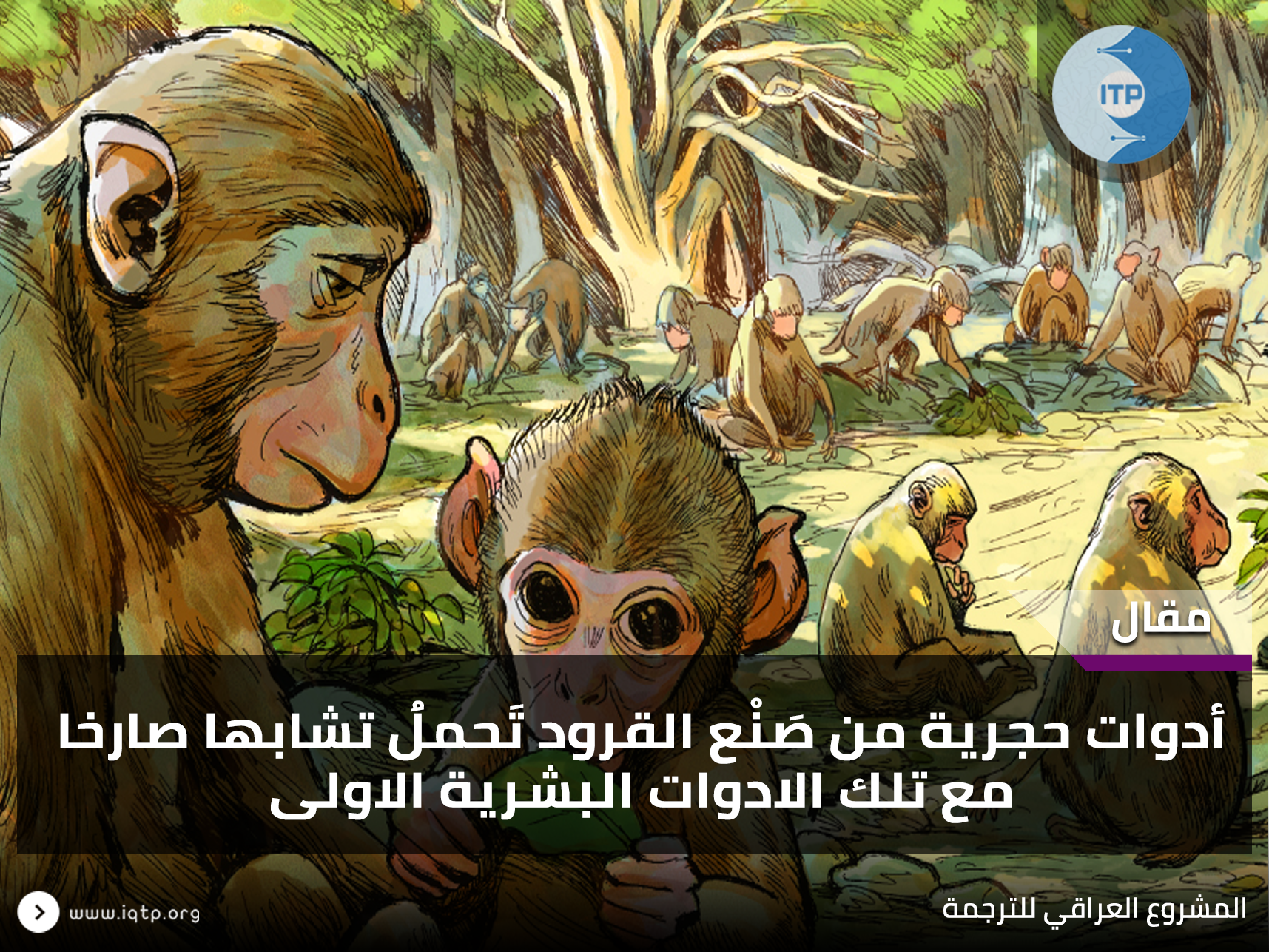 أدوات حجرية من صَنْع القرود تَحملُ تشابها صارخا مع تلك الادوات البشرية الاولى أدوات حجرية من صَنْع القرود تَحملُ تشابها صارخا مع تلك الادوات البشرية الاولى