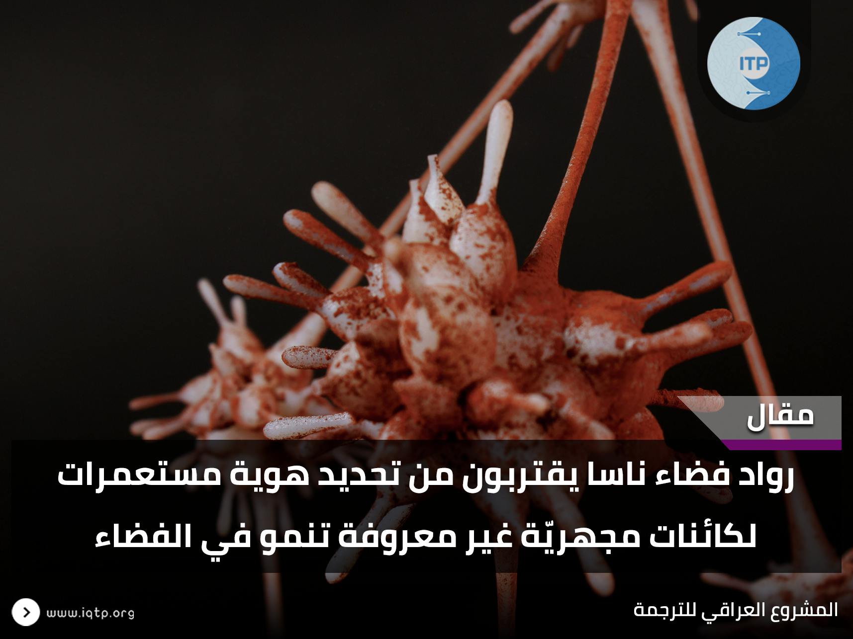 ناسا تقترب من تحديد هوية كائنات مجهرية تنمو في الفضاء ناسا تقترب من تحديد هوية كائنات مجهرية تنمو في الفضاء