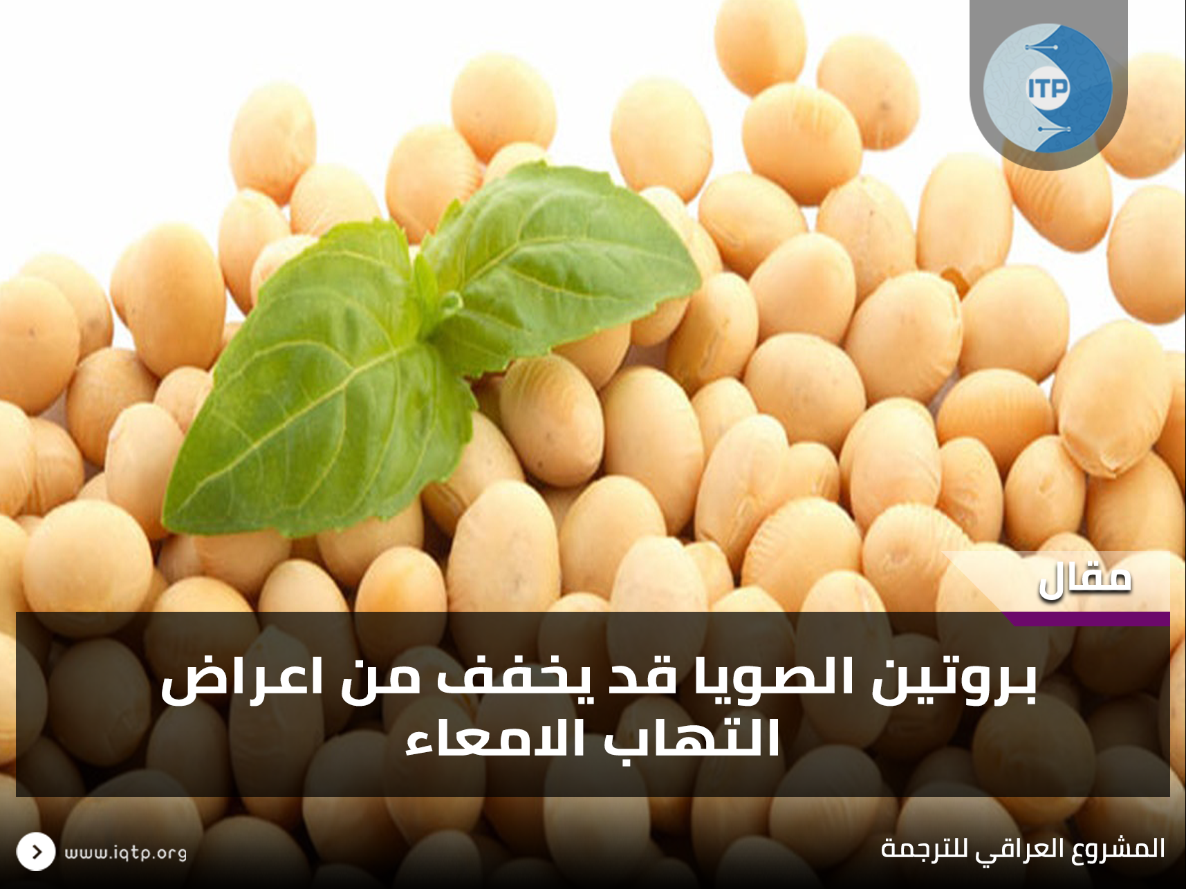 بروتين الصويا قد يخفف من اعراض إلتهاب الامعاء بروتين الصويا قد يخفف من اعراض إلتهاب الامعاء