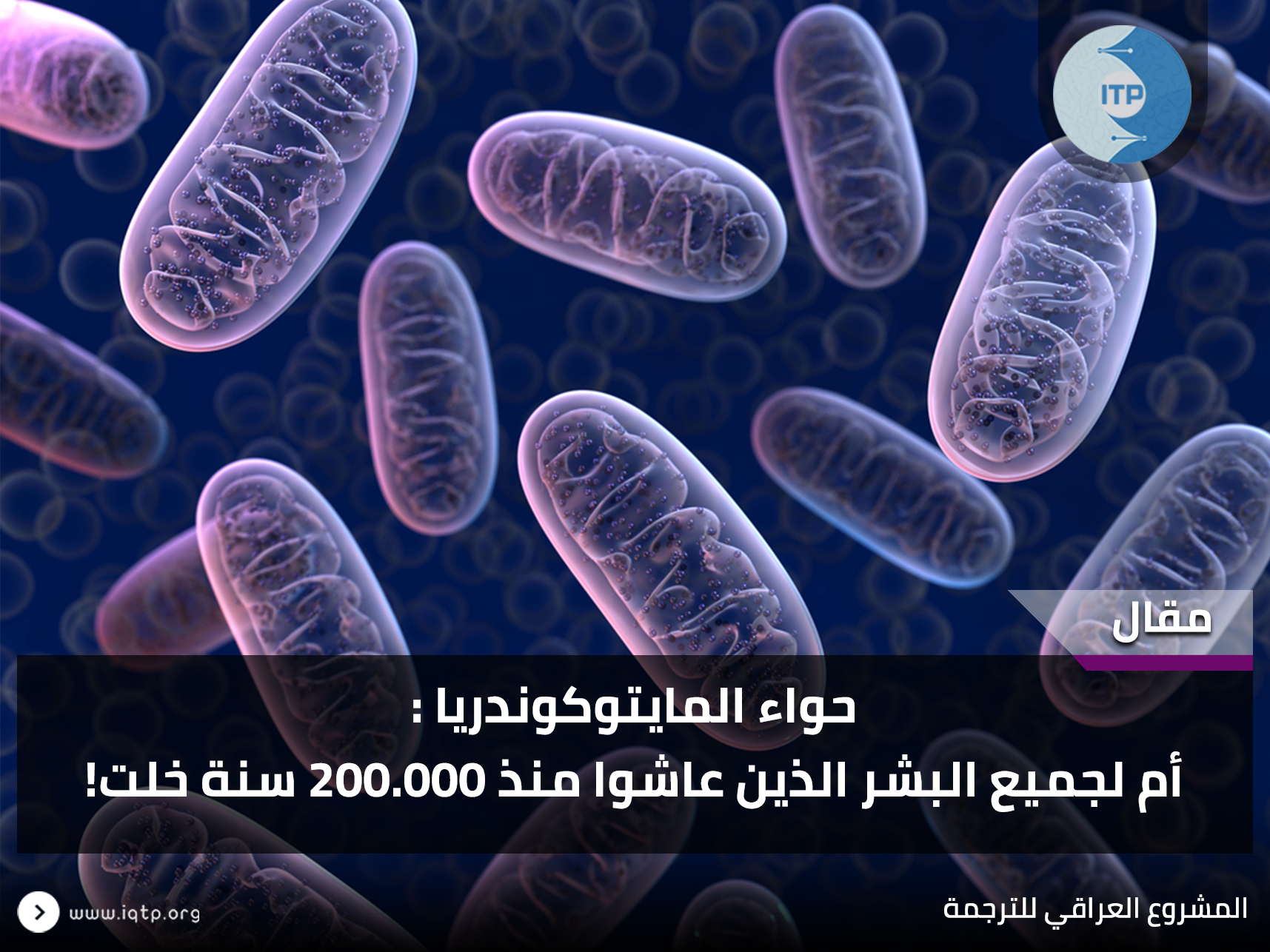 حواء المايتوكوندريا: أم لجميع البشر الذين عاشوا منذ 200.000 سنة خلت! حواء المايتوكوندريا: أم لجميع البشر الذين عاشوا منذ 200.000 سنة خلت!