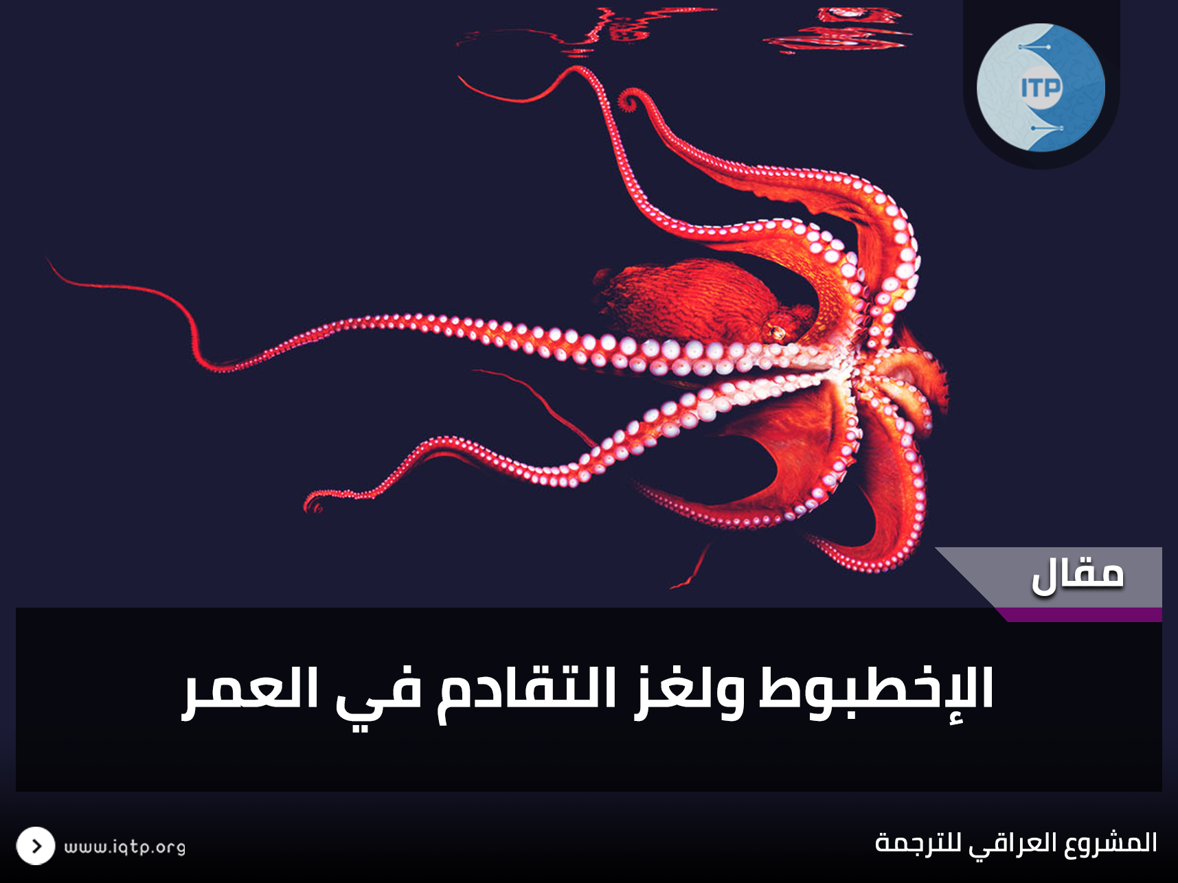 الإخطبوط ولغز التقادم في العمر الإخطبوط ولغز التقادم في العمر