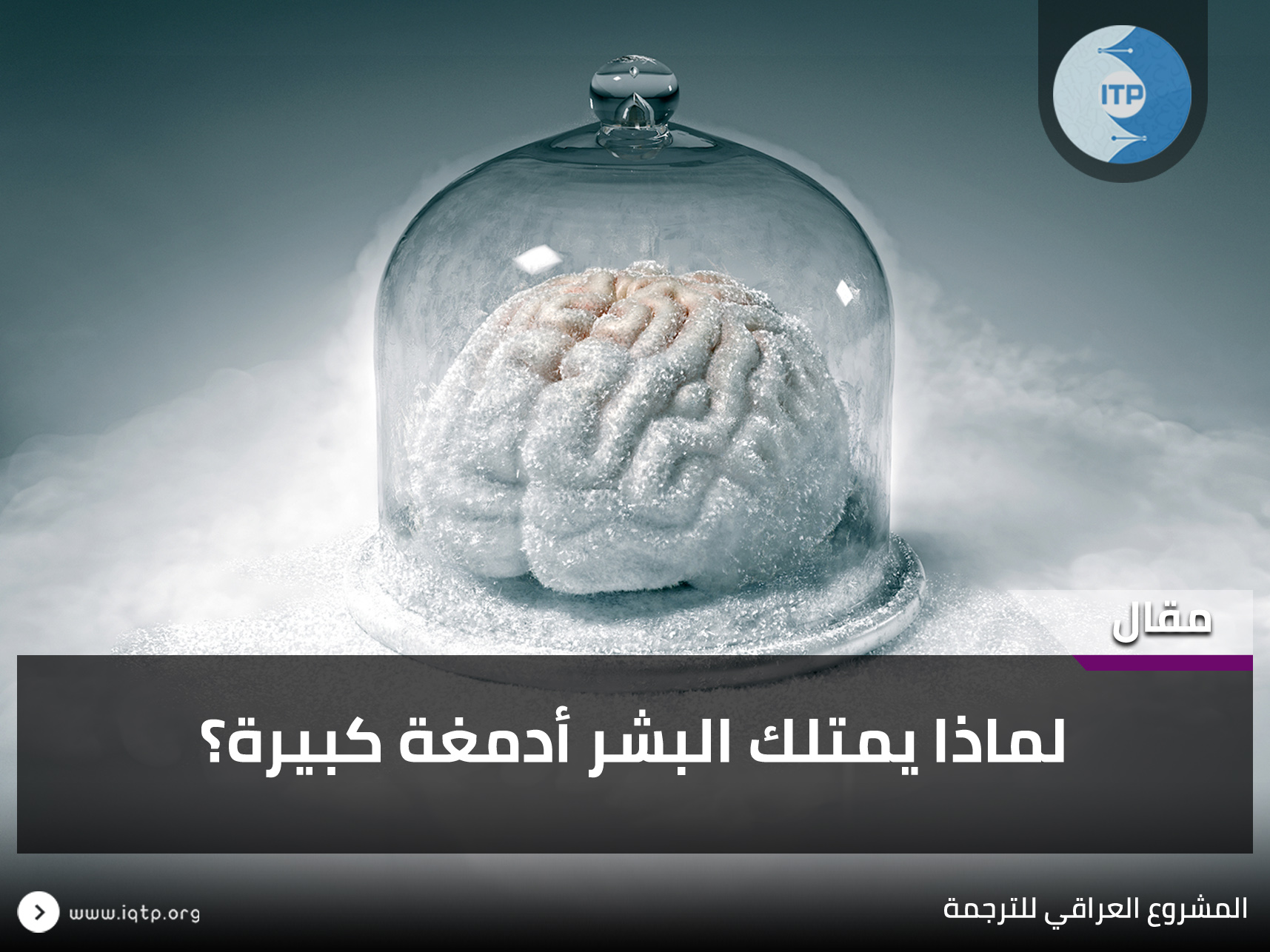 لماذا يمتلك البشر ادمغة كبيرة ؟ لماذا يمتلك البشر ادمغة كبيرة ؟