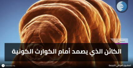 دبّ الماء “Tardigrades”: كائن مجهري على كوكب الأرض، يصمد أمام الكوارث الكونية دبّ الماء “Tardigrades”: كائن مجهري على كوكب الأرض، يصمد أمام الكوارث الكونية